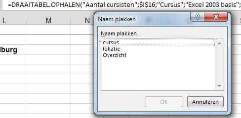 Excel dynamische gegevens draaitabel 9